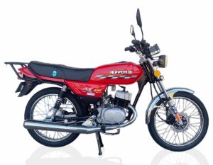 nipponia-ax-100-motores-en-higuey (2)